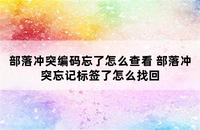 部落冲突编码忘了怎么查看 部落冲突忘记标签了怎么找回